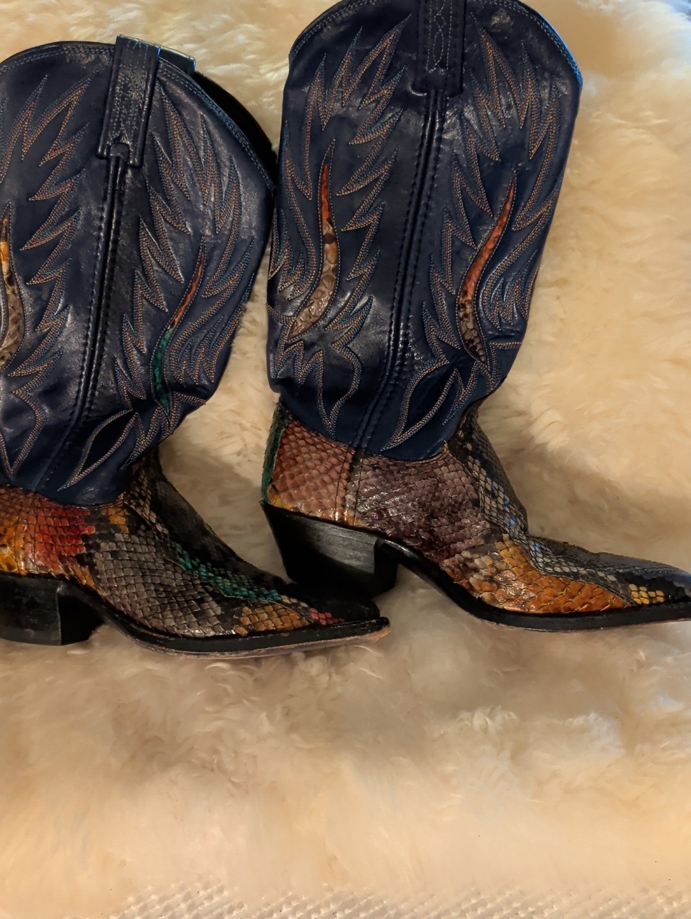 Dan Post Multicolor Snake-Embossed Leather Cowboy Boots